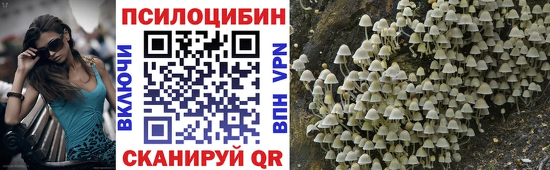 Псилоцибиновые грибы Psilocybine cubensis Фёдоровский