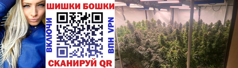 блэк спрут онион  где продают наркотики  Фёдоровский  Бошки Шишки гибрид 